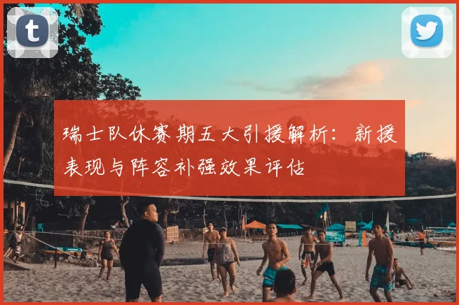 瑞士队休赛期五大引援解析：新援表现与阵容补强效果评估