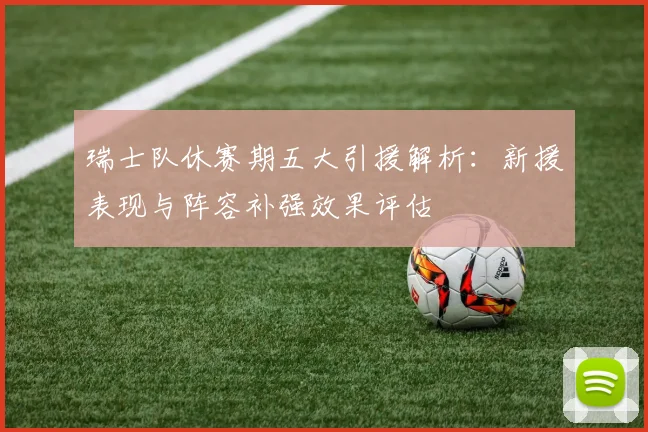 瑞士队休赛期五大引援解析：新援表现与阵容补强效果评估