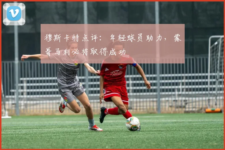 穆斯卡特点评：年轻球员助力，蒙哥马利必将取得成功